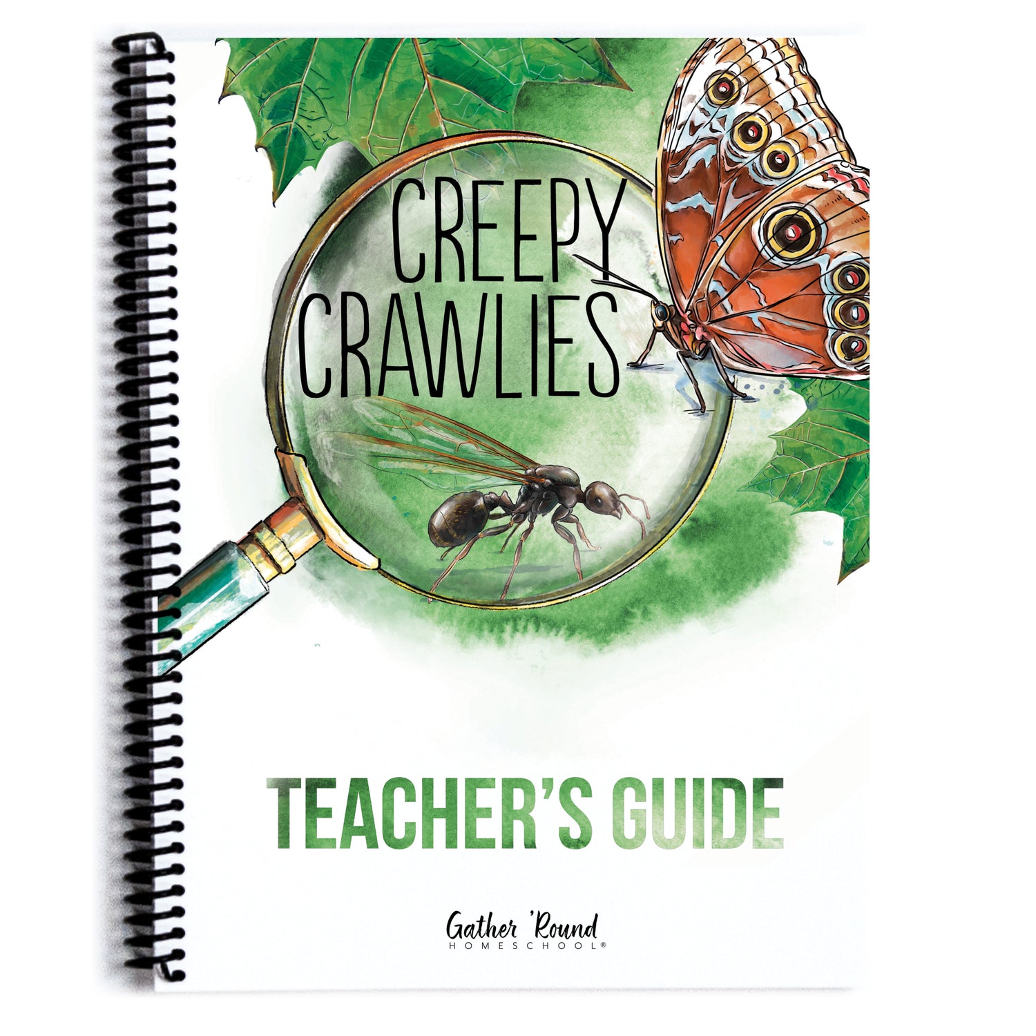 Creepy Crawlies Homeschool Unit Study Printed Teacher's Guide