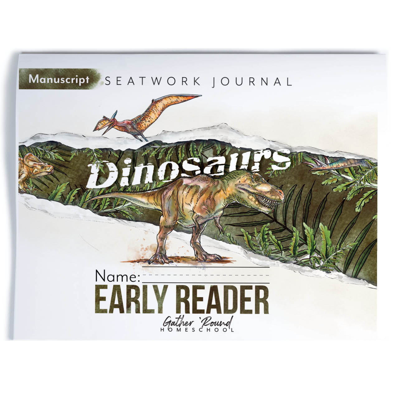 Dinosaurs Seatwork (Printed Books)