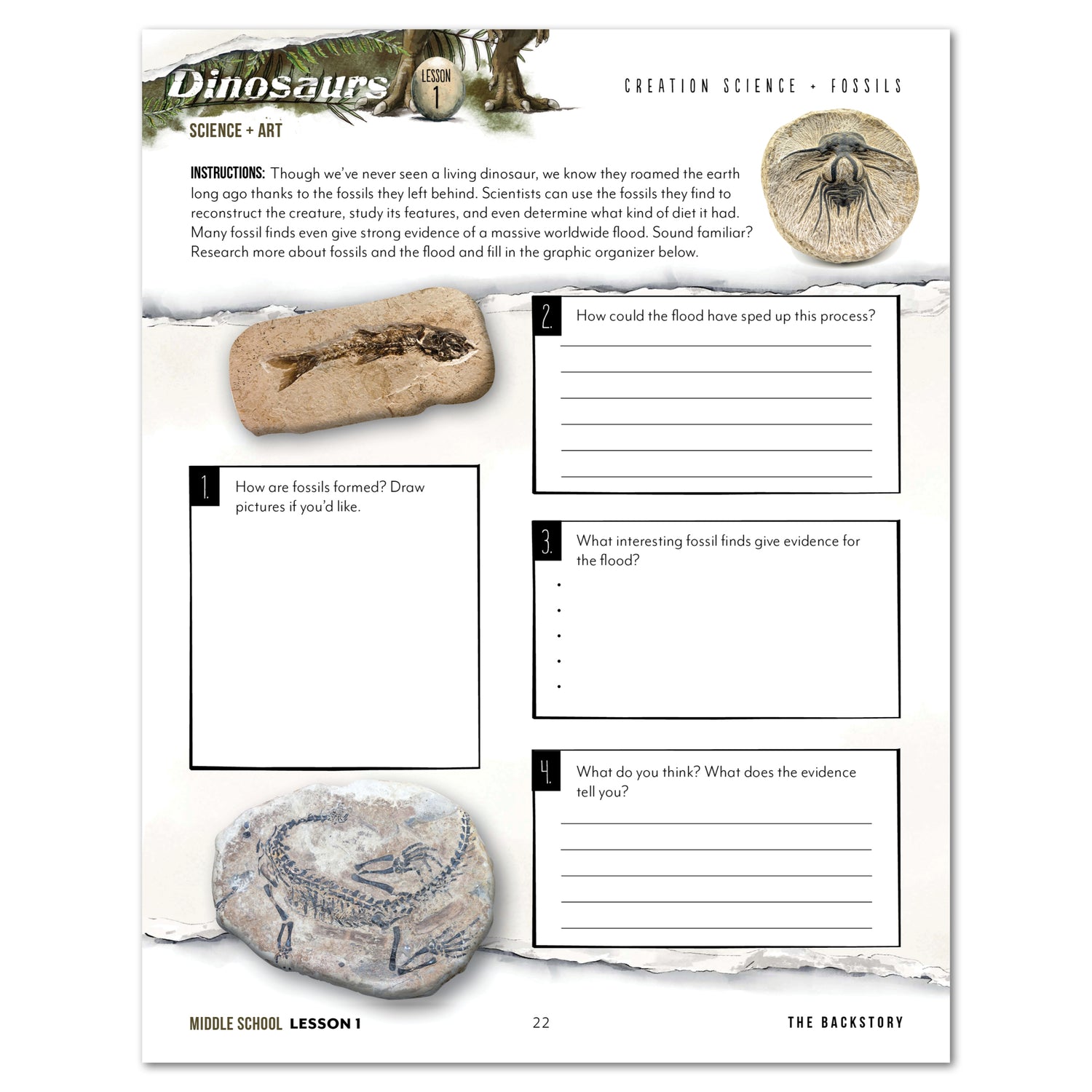 Dinosaurs Homeschool Unit Study Printed Middle School Student Book Lesson 1 Creation Science and Fossils