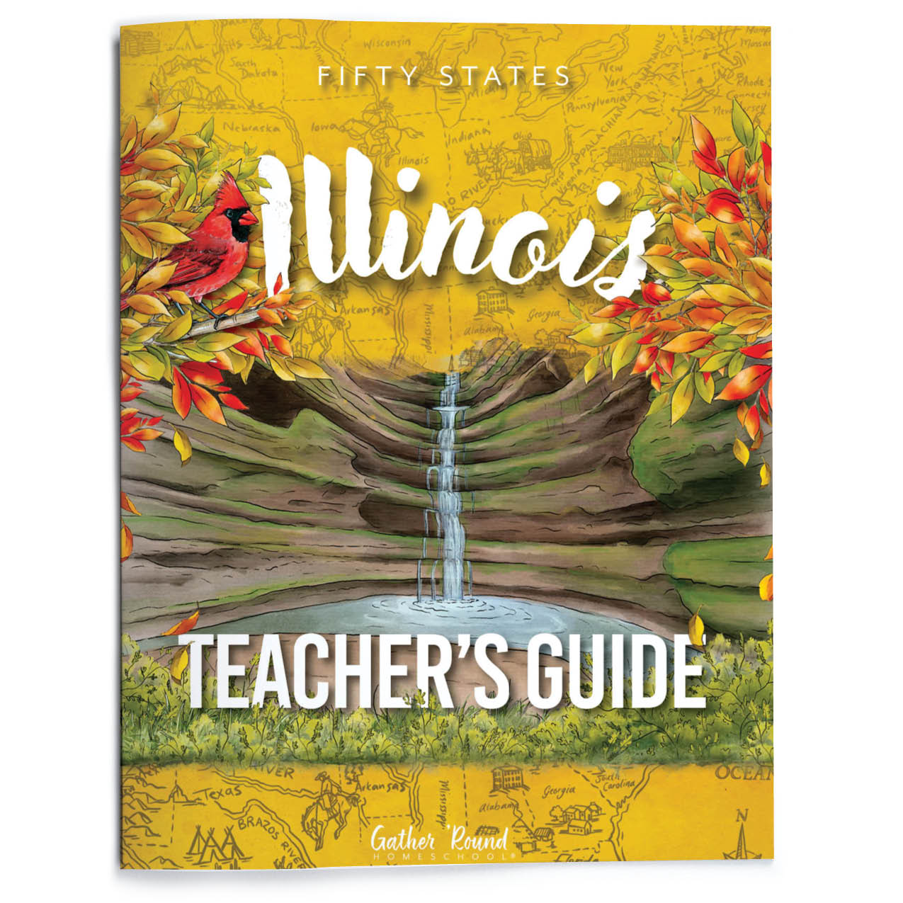 Fifty States: Illinois (Printed Books)