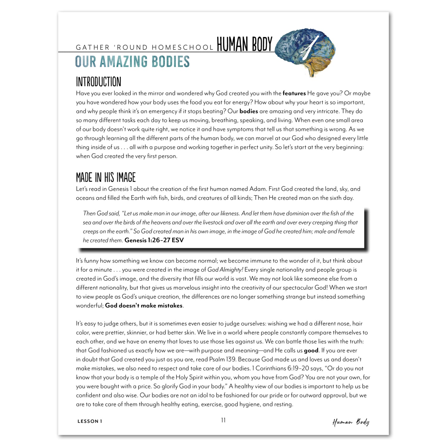 Human Body homeschool unit study printed teacher's guide  lesson one part two 