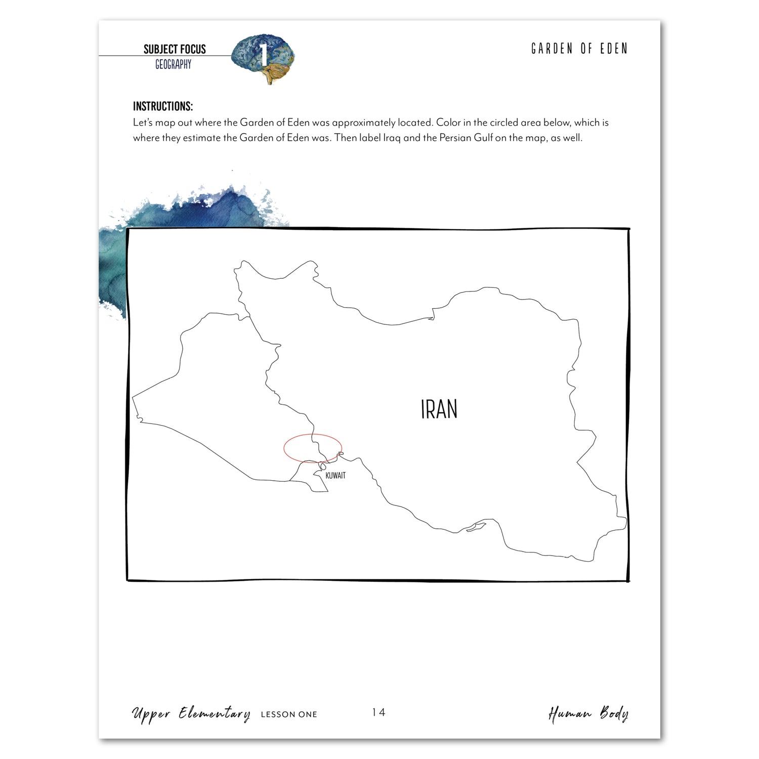 Human Body homeschool unit study printed student workbook in upper elementary lesson one 