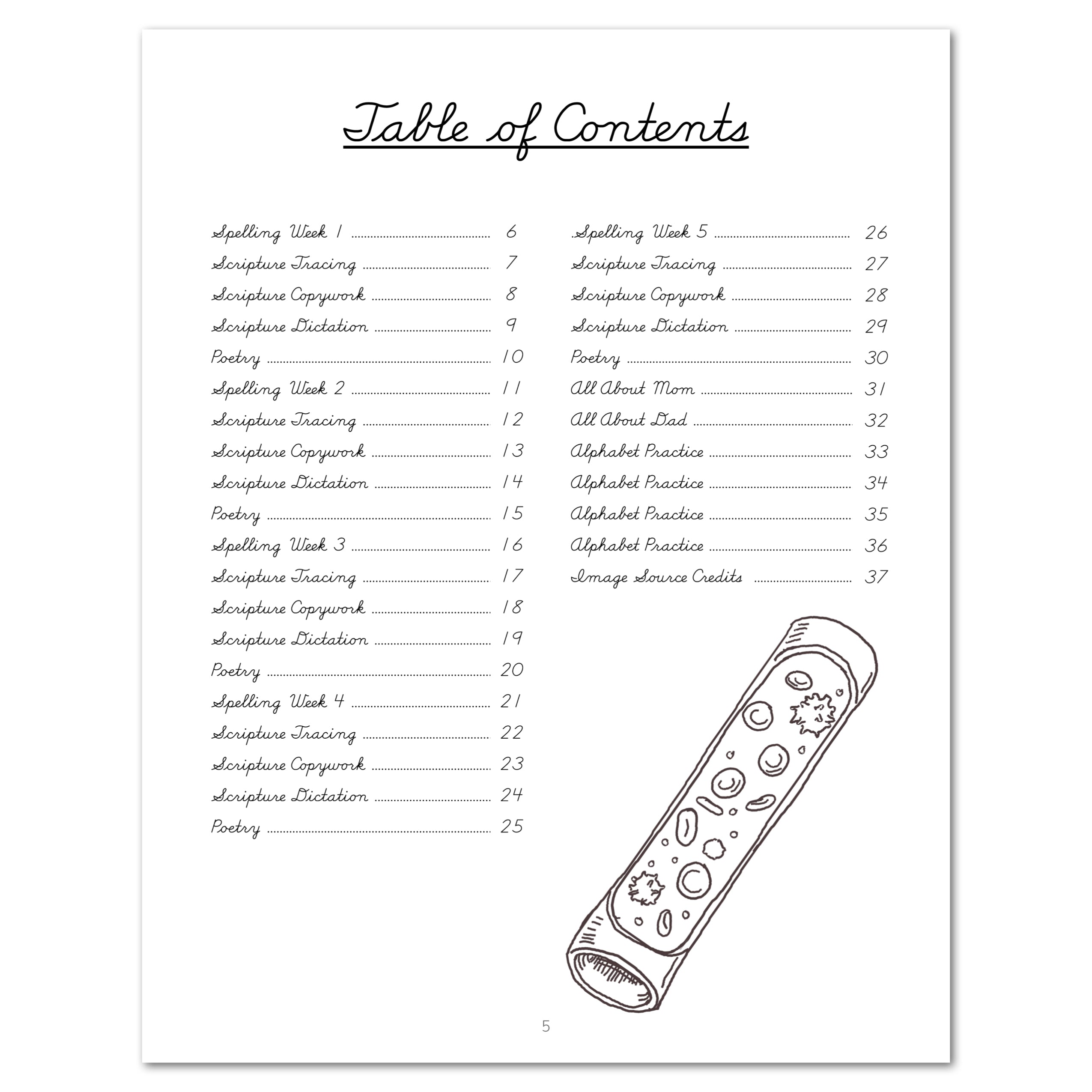 Human Body Cursive Writing (Digital Download) – Gather 'Round ...
