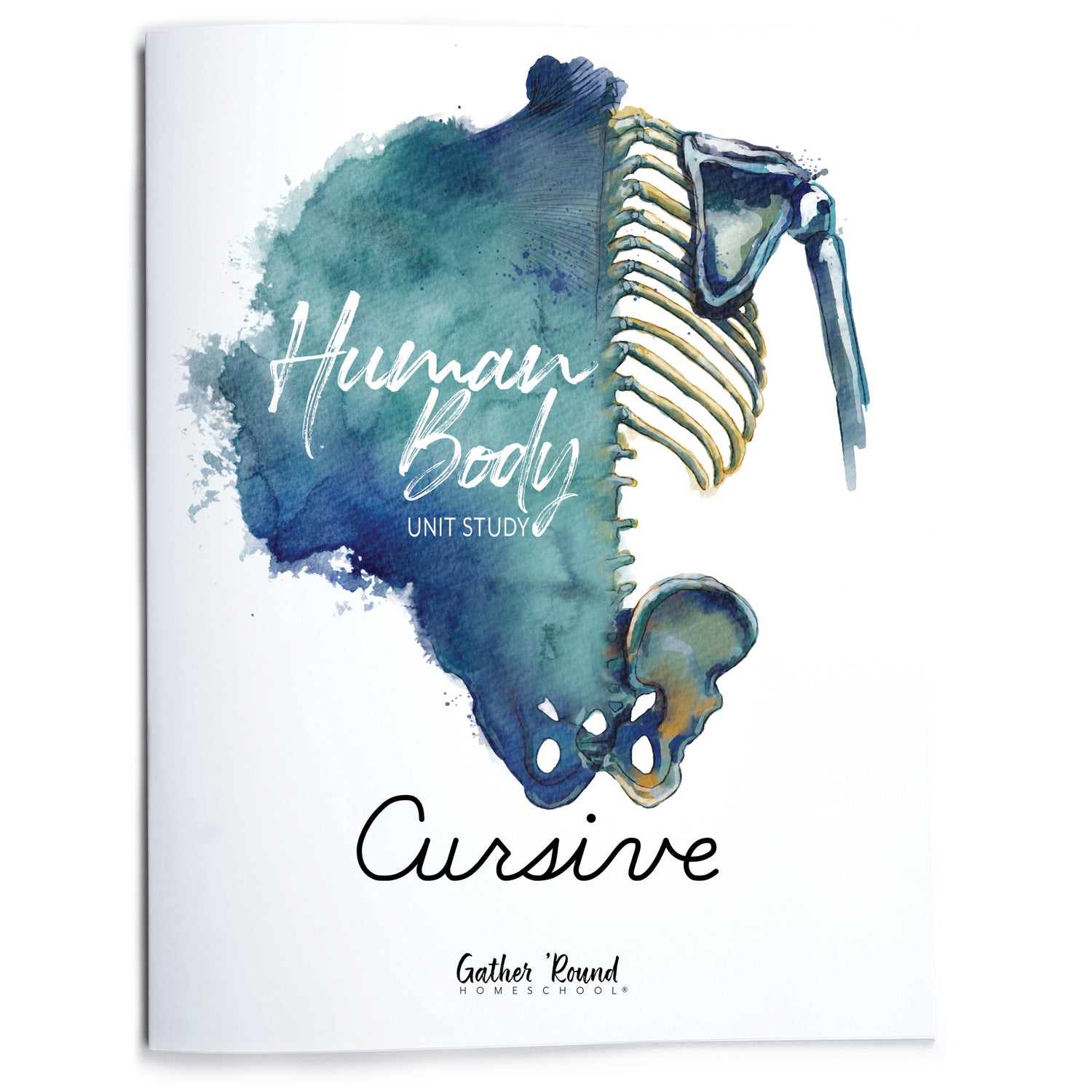 Human Body Cursive Writing (Printed Book)