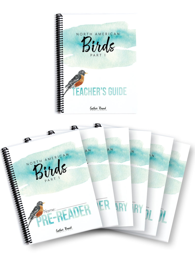 North American Birds Part 1