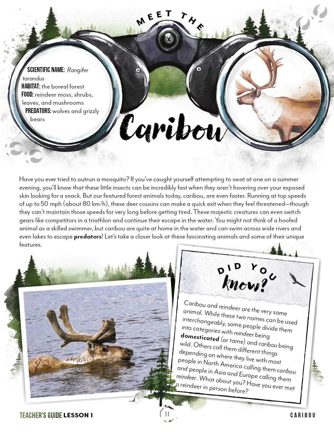 North American Forest Animals Unit (Printed Books)