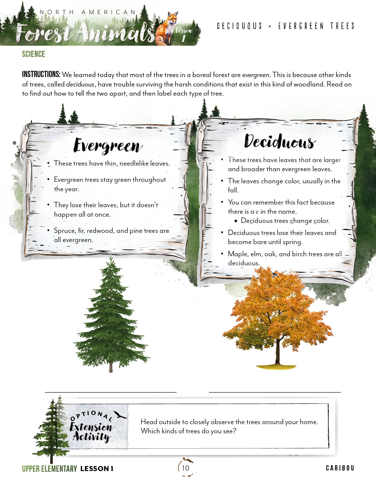 North American Forest Animals Unit (Printed Books)