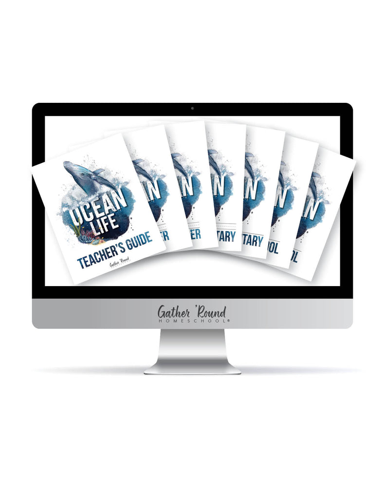 Ocean Life Digital Bundles