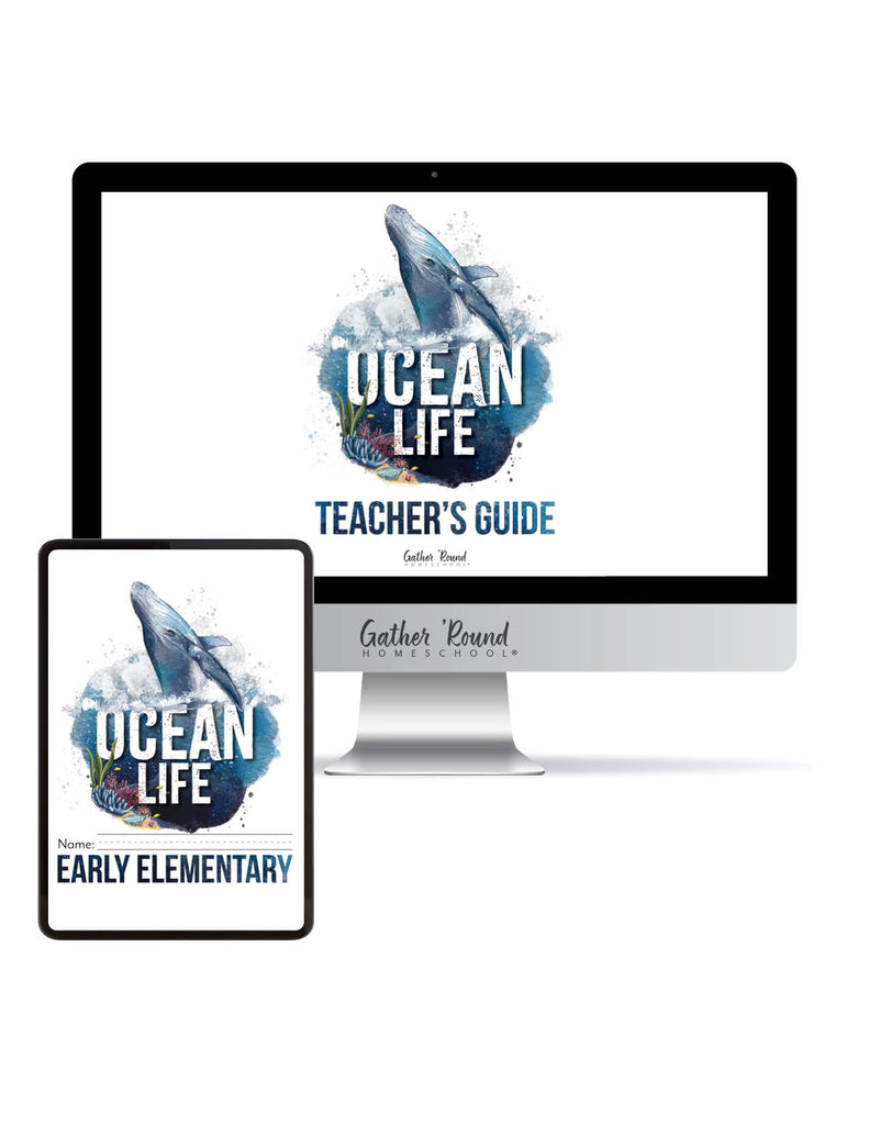 Ocean Life Digital Bundles