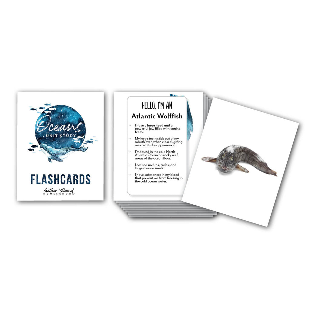 Oceans Printed Flashcards
