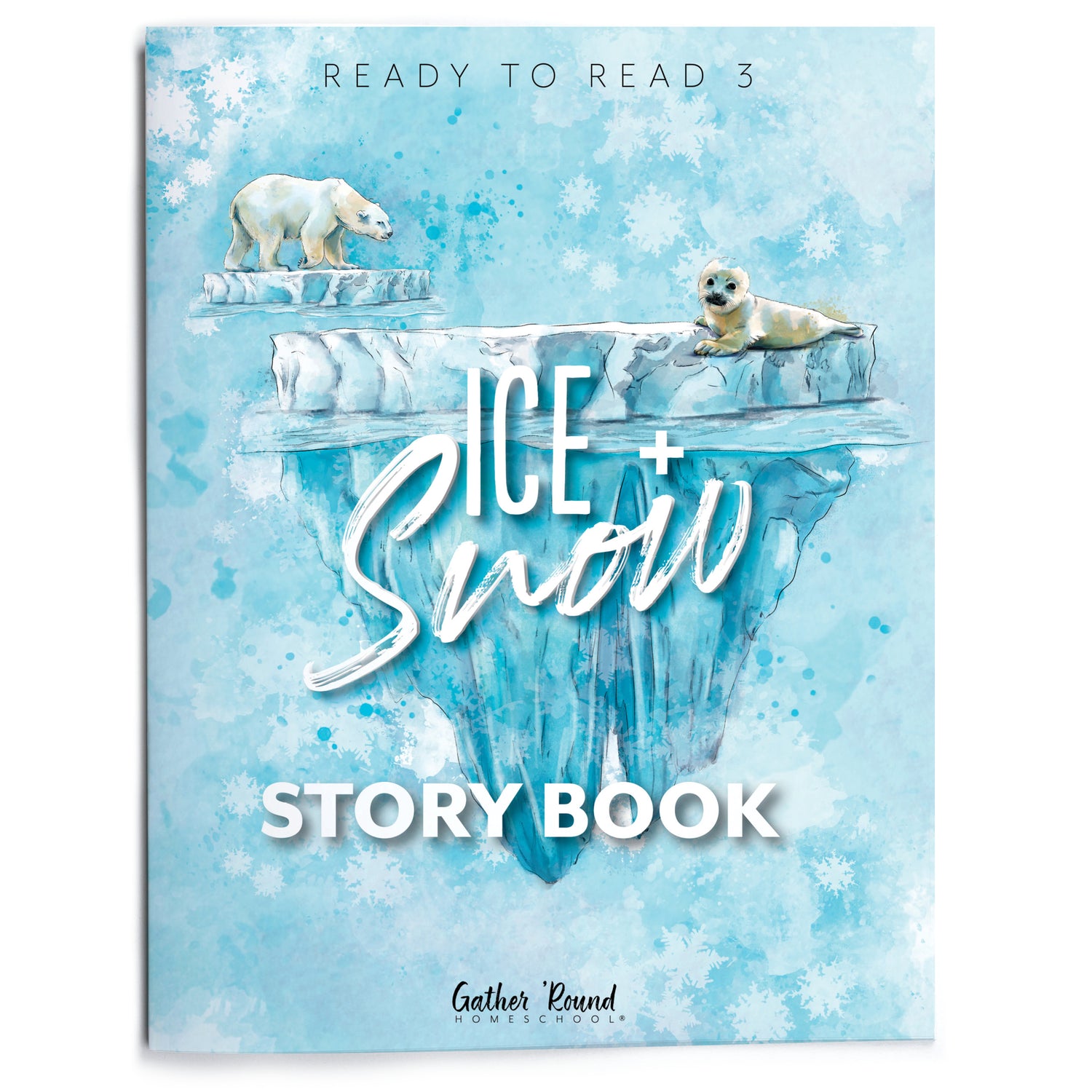 Ready to Read 3: Ice and Snow Story Book