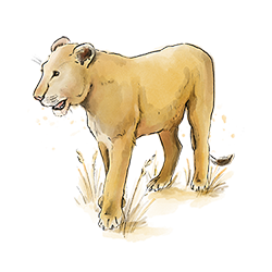 Ready to Read 4: On the Savanna