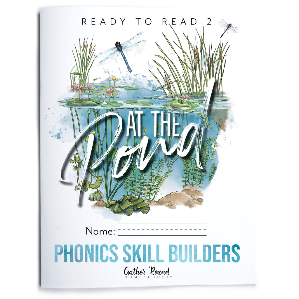 Ready to Read 2: Phonics Skill Builders