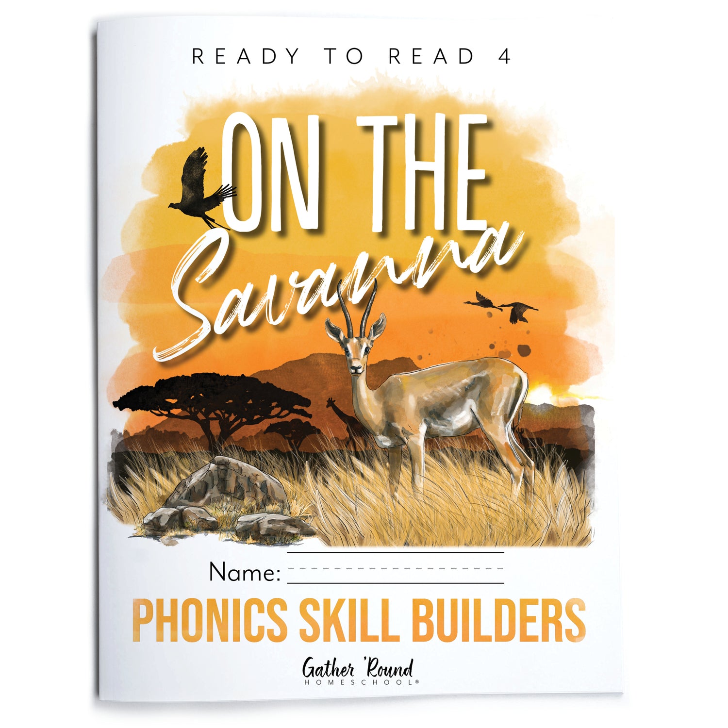 Ready to Read 4: Phonics Skill Builders (Print)