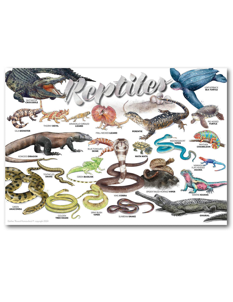 Reptiles Printed Poster