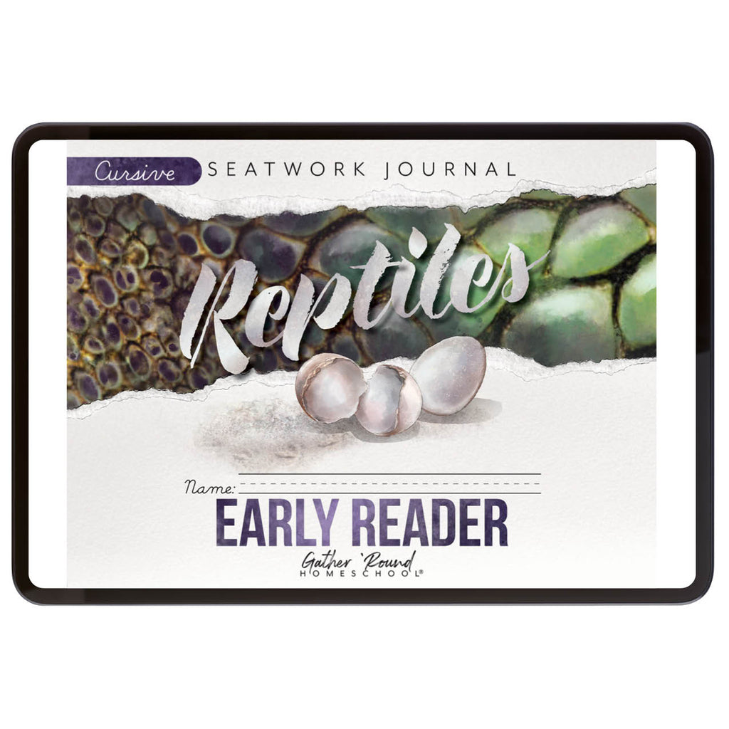 Reptiles Seatwork Books