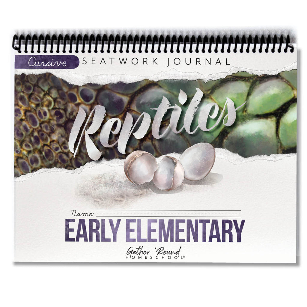 Reptiles Printed Seatwork Books