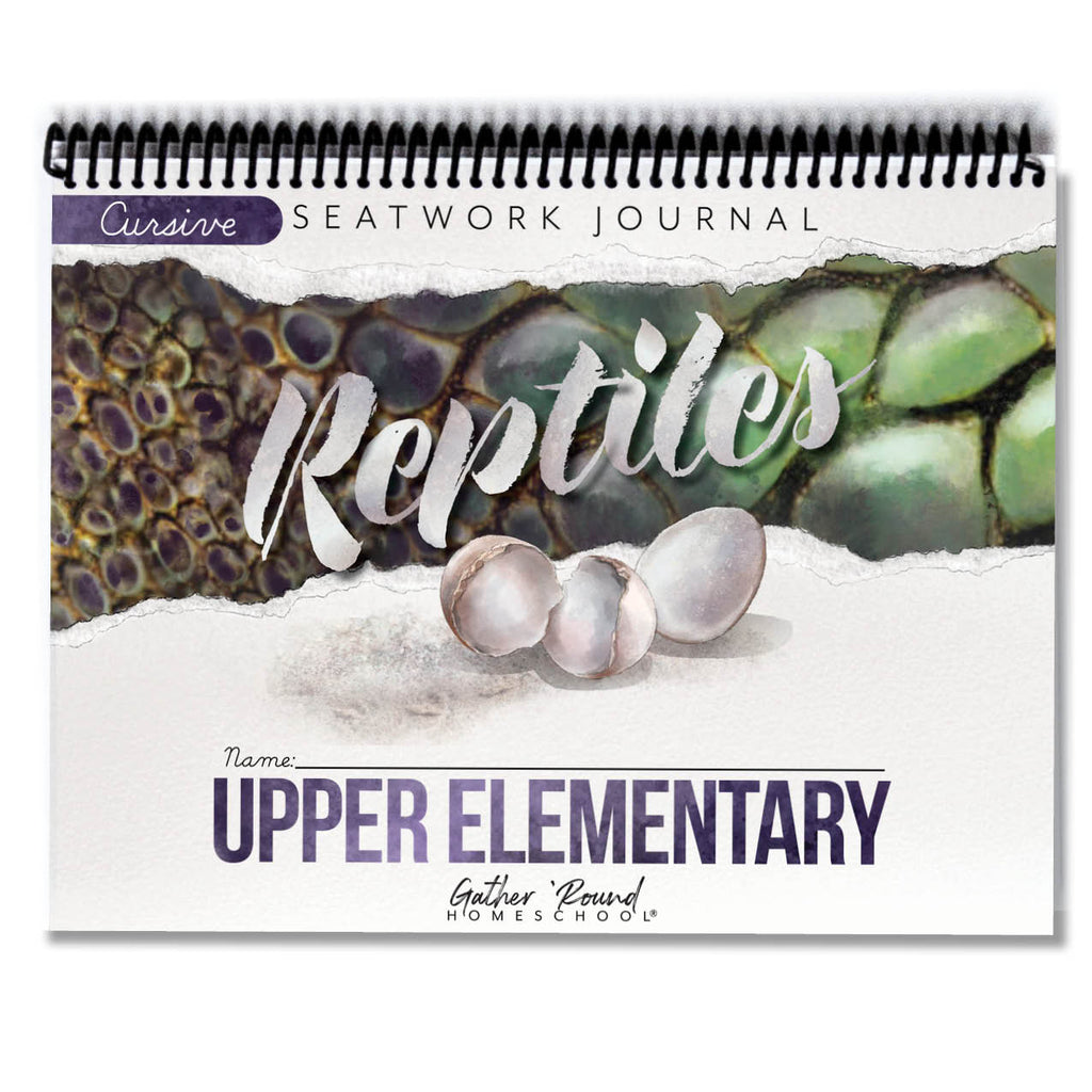 Reptiles Printed Seatwork Books