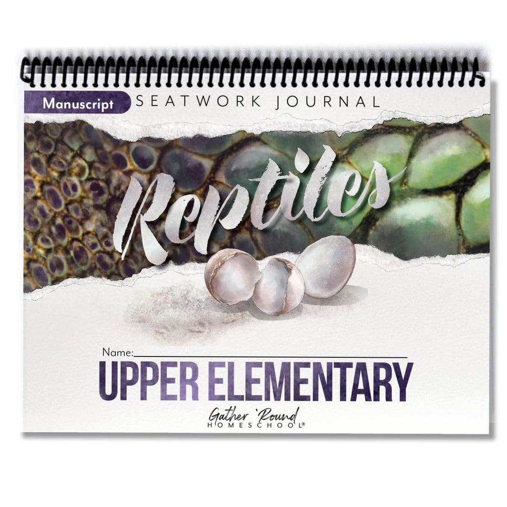 Reptiles Printed Seatwork Books