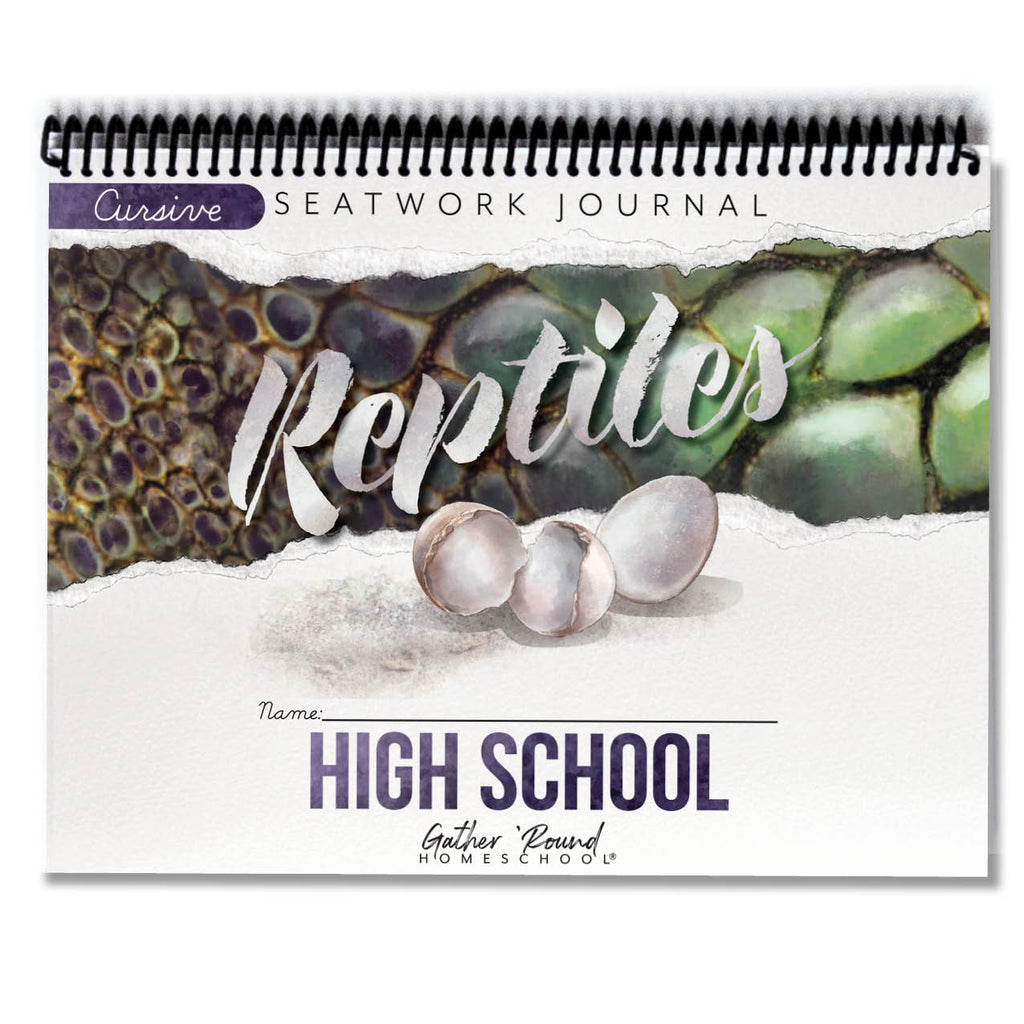 Reptiles Printed Seatwork Books