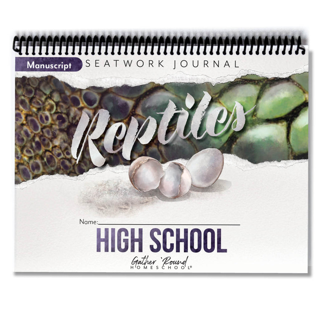 Reptiles Printed Seatwork Books