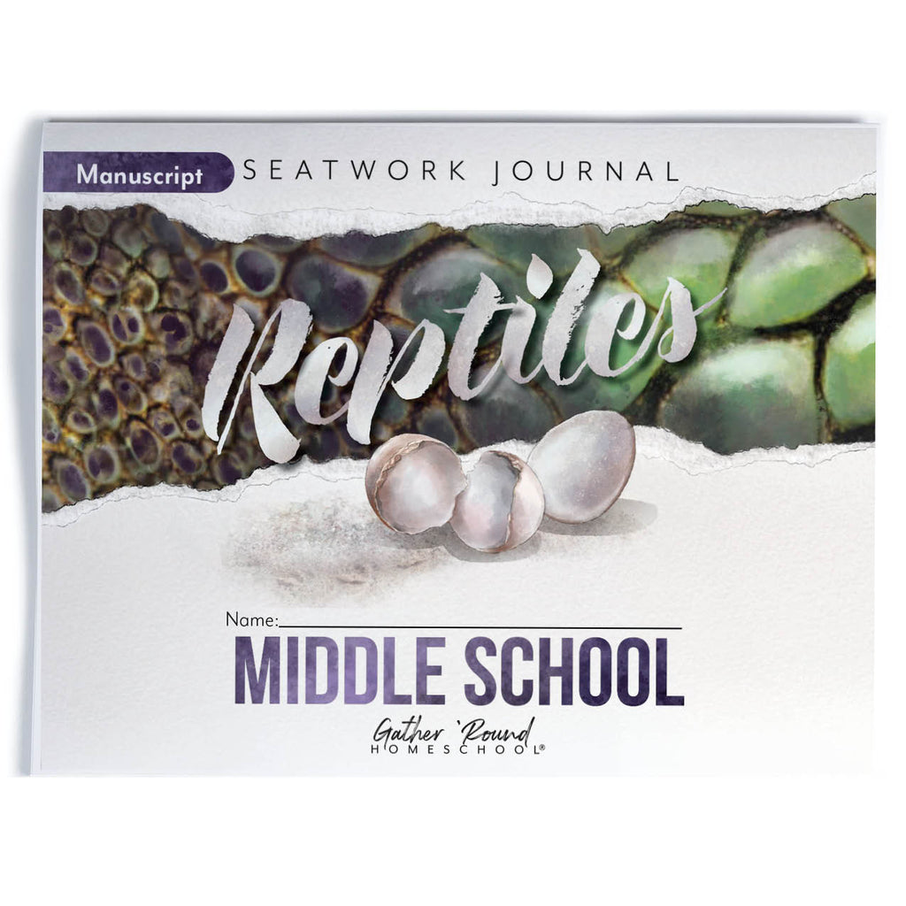 Reptiles Seatwork Books