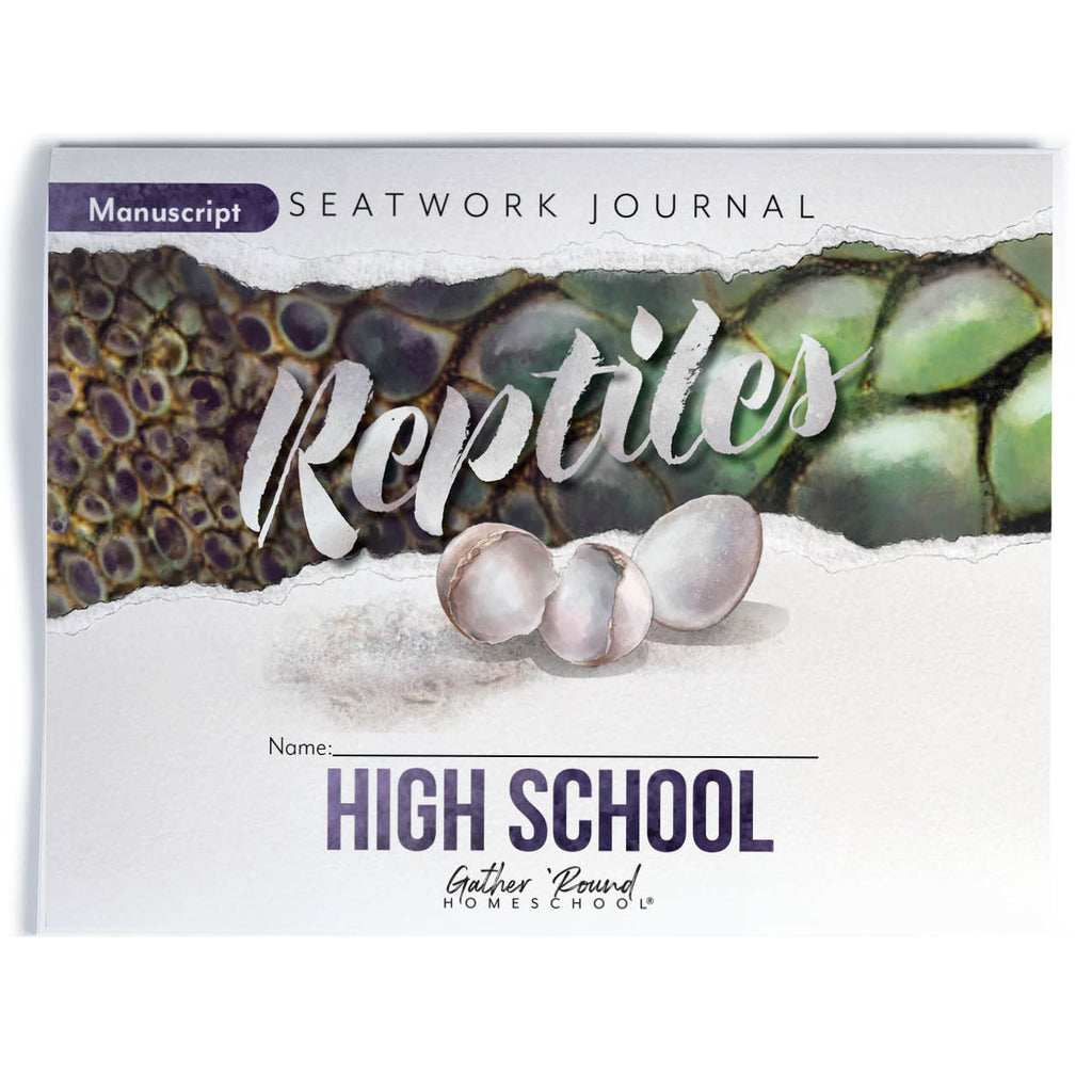 Reptiles Seatwork Books