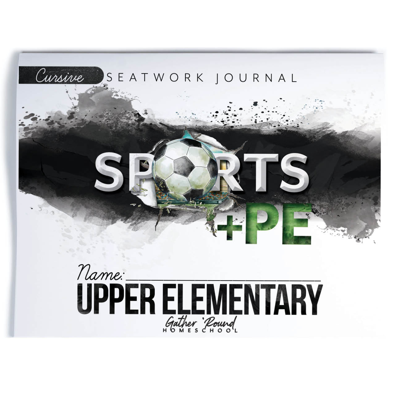 Sports and PE Seatwork (Printed Books)