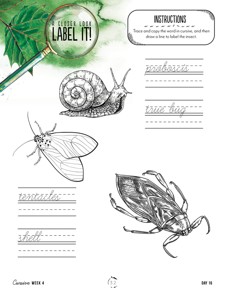 Cursive Handwriting Book - DIGITAL COPY