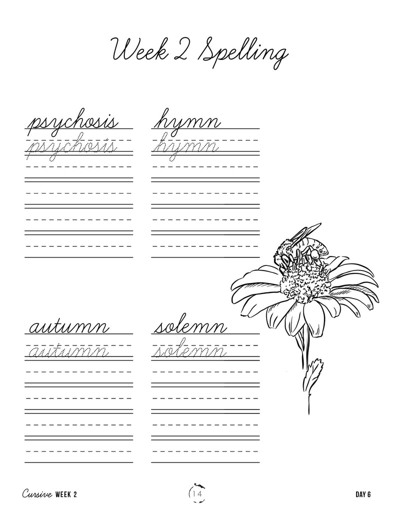 100 AMAZING AUTUMN Words Cursive Handwriting Book – Page A Day Math