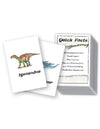 Dinosaurs Printed Flashcards