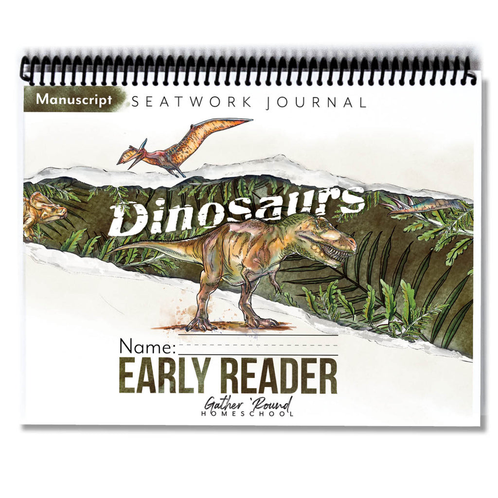 Dinosaurs Printed Seatwork Books
