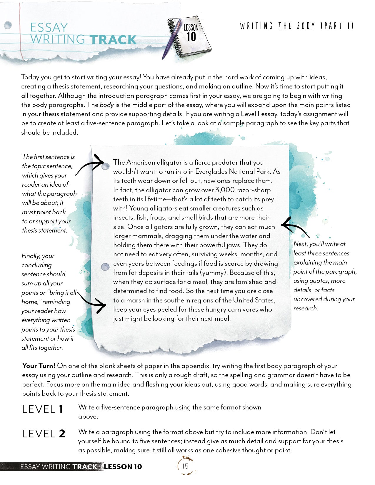 Essay Writing Track (Printed Book)