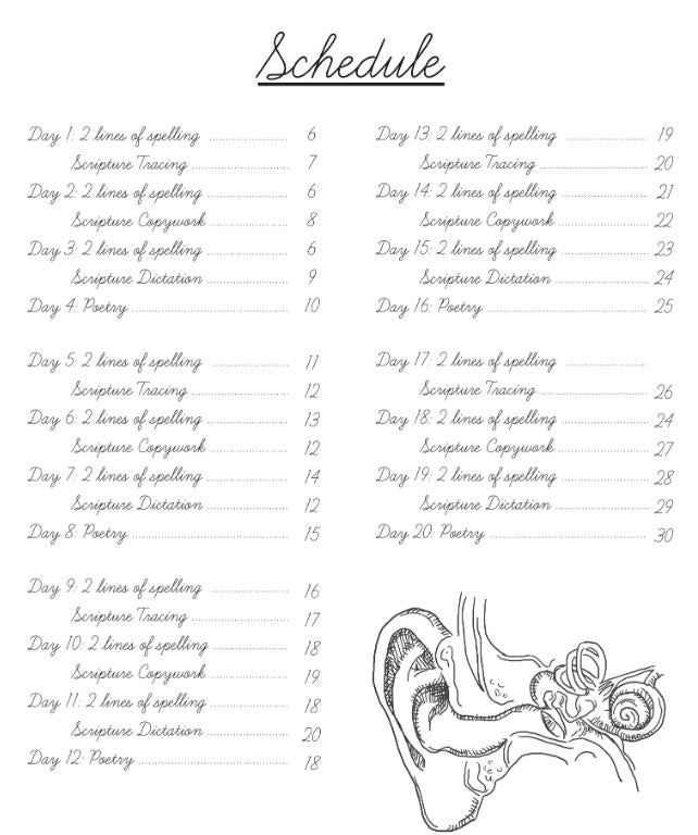 Human Body Cursive Writing Book – Gather 'Round Homeschool USA
