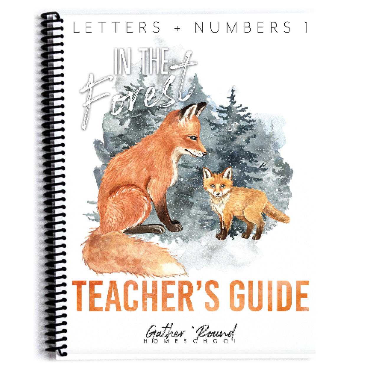 Letters + Numbers 1: Printed Books