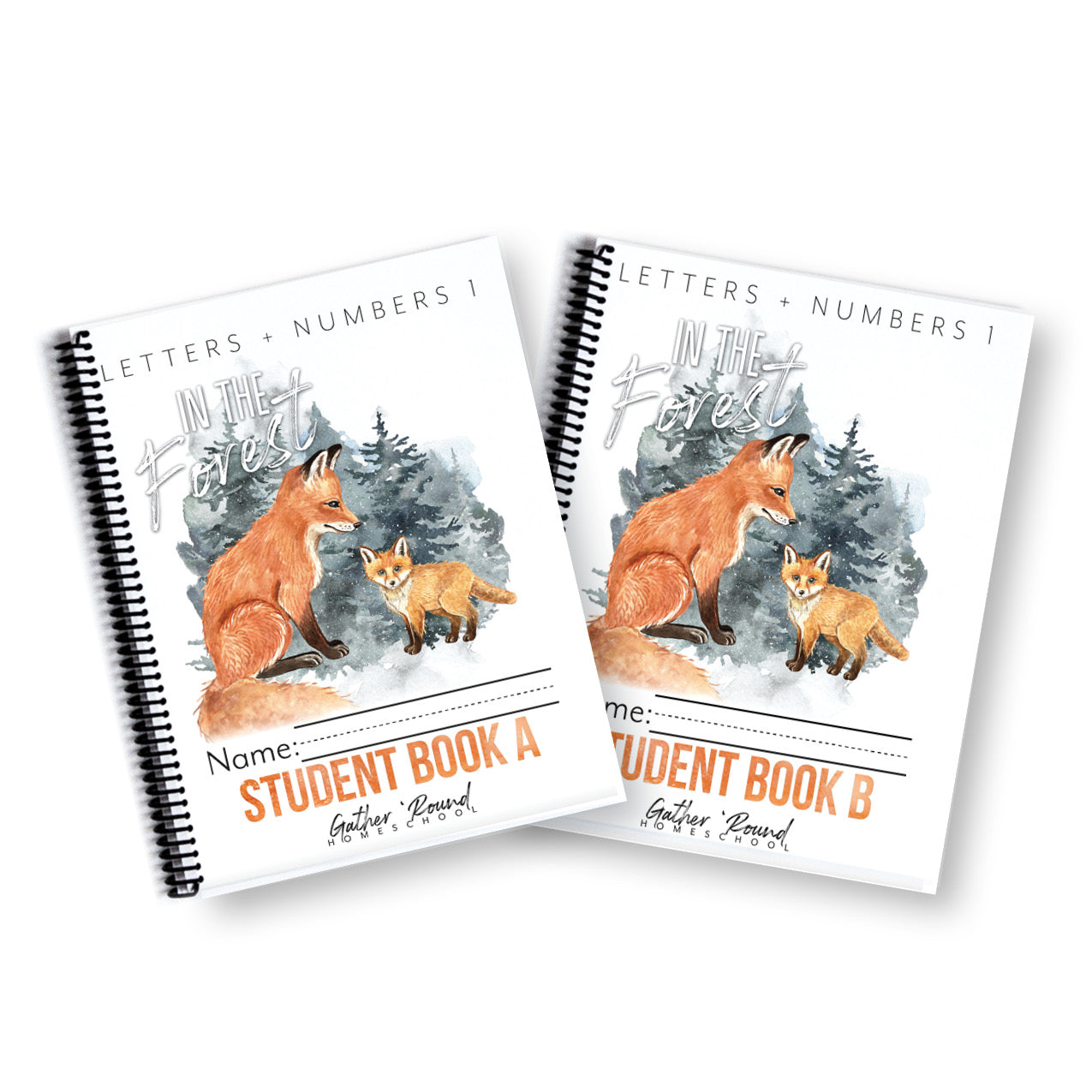 Letters + Numbers 1: Printed Books