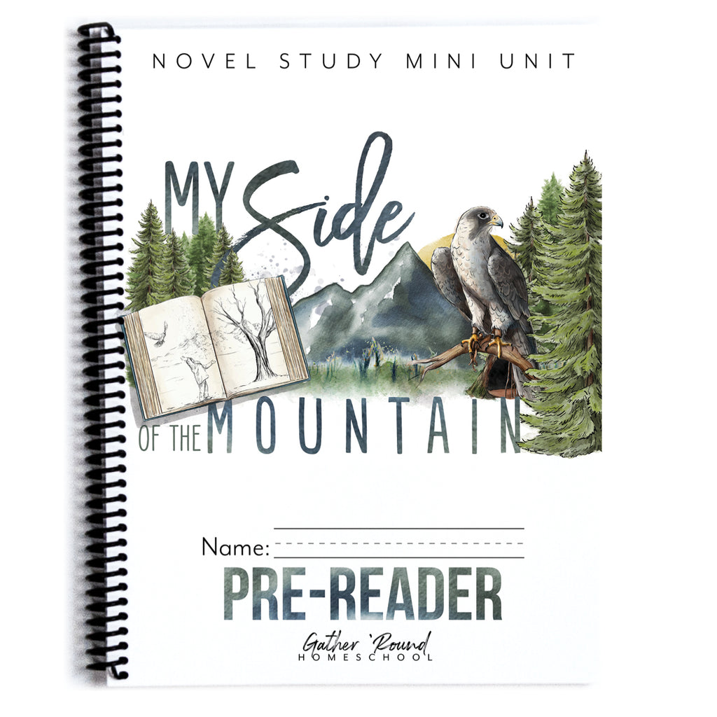 My Side of the Mountain Printed Books