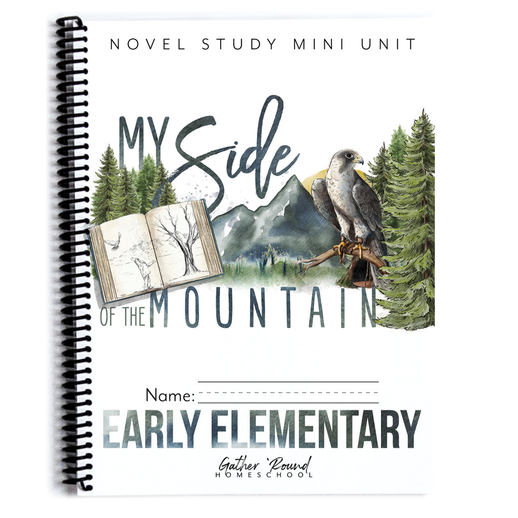 My Side of the Mountain Printed Books