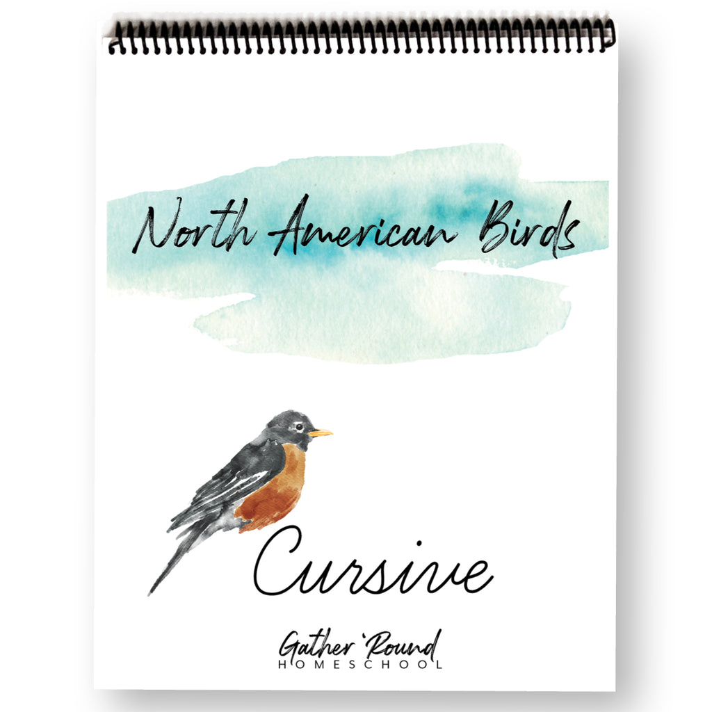 North American Birds Cursive Writing Printed Book