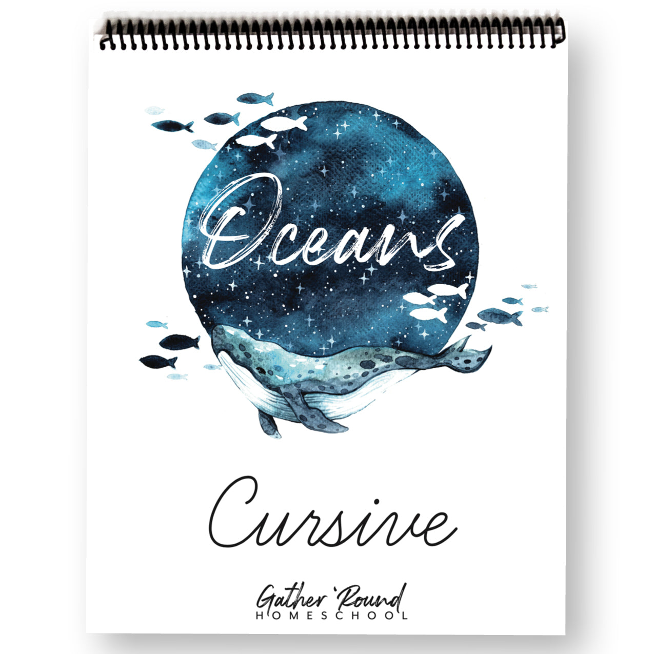 Cursive writing has never been easier!! Join the groove and help your  little one write calligraphically. #reusablecopybooks #montesorri, By Groove  Calligraphy World