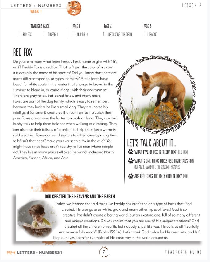 Letters + Numbers 1: Digital Bundle