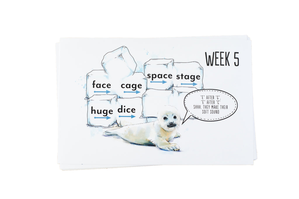 Ready to Read 3 Printed Practice Pack Gather 'Round Homeschool USA