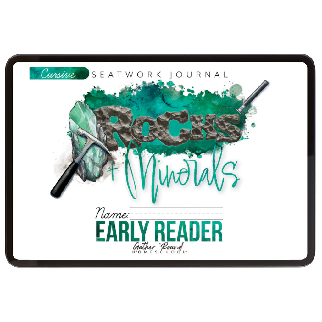 Rocks + Minerals Seatwork Books