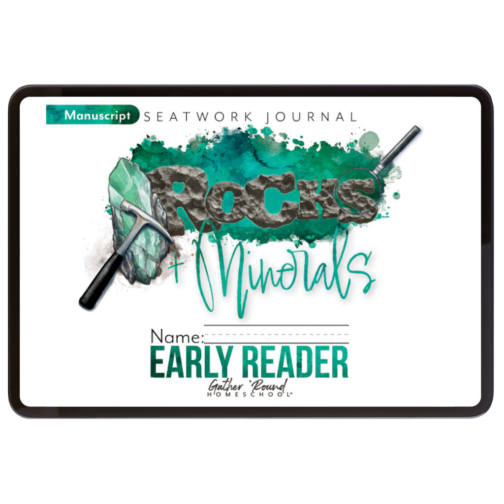 Rocks + Minerals Digital Seatwork Books